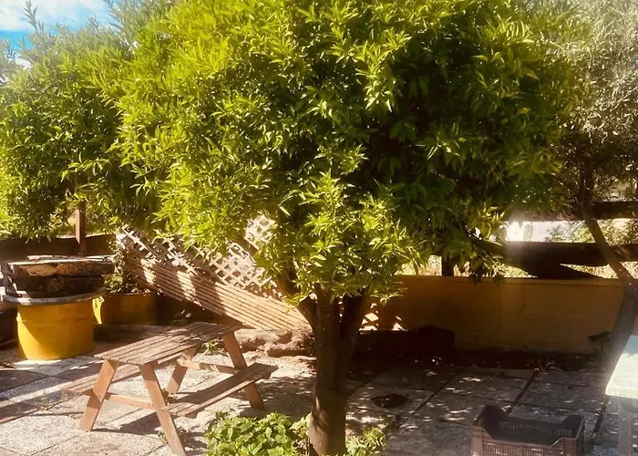 Ξενοδοχείο Maistrali & Restaurant *